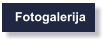 Fotogalerija